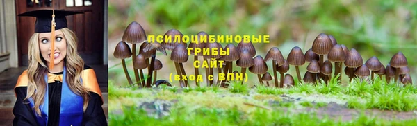 скорость Алзамай