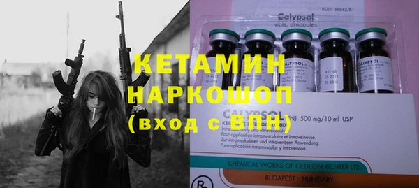 индика Абинск