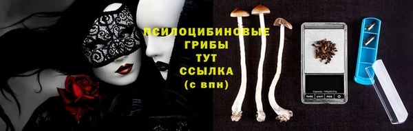 спиды Алексин