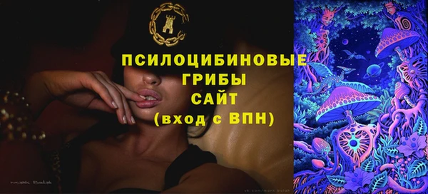 спиды Алексин